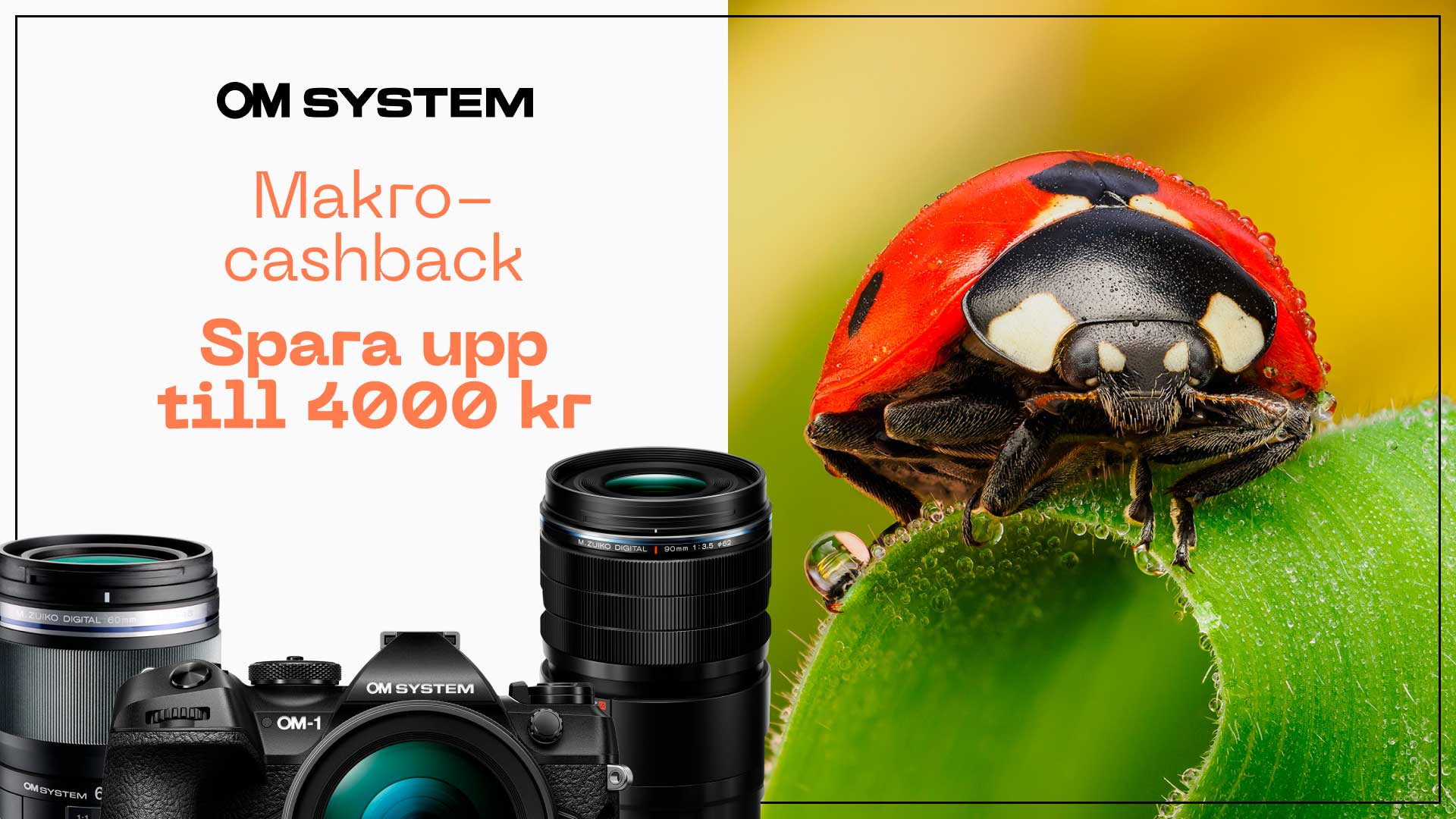 OM-SYSTEM-Macro-Cashback-25-SE